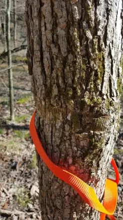 Tentsile Flite Tree Tent -Camping & Hiking Sale 13