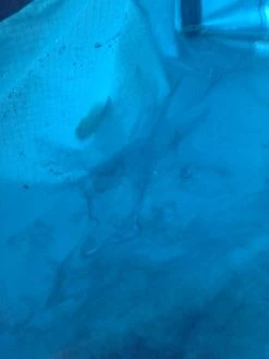 Sierra Designs Flash 2 -Camping & Hiking Sale 20130511 062505