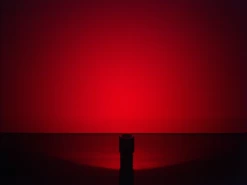 ZebraLight H502r Red AA Flood Headlamp -Camping & Hiking Sale 2015 08 10 20 02 50