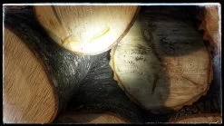 Ledlenser MT10 -Camping & Hiking Sale 20171119 153533 01