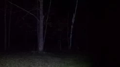 Ledlenser MT10 -Camping & Hiking Sale 20171130 205734