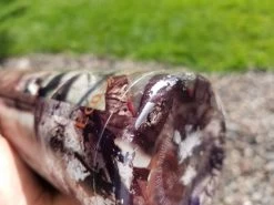 EcoVessel The Boulder Insulated -Camping & Hiking Sale 20190820 161349