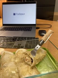 Opinel Picnic+ -Camping & Hiking Sale 5F2C0E15 C5DD 415D A3C4 0BEB63F45982