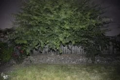 BioLite PowerLight Mini -Camping & Hiking Sale BioStill07