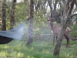 Hennessy Hammock Ultralight Backpacker Asym -Camping & Hiking Sale DSC03331