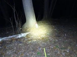 NiteCore NU25 -Camping & Hiking Sale DSC04925