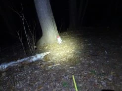 NiteCore NU25 -Camping & Hiking Sale DSC04927