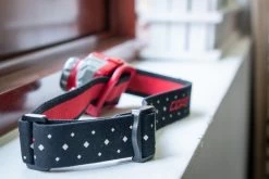 Coast FL75R -Camping & Hiking Sale DSC05352