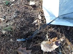 Six Moon Designs Serenity Ultralight NetTent -Camping & Hiking Sale DSC09102