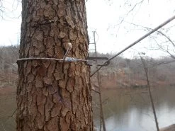 Dutchware Ridgeline Biners