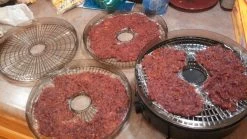 Eastman Outdoors Food Dehydrator 4 Tray -Camping & Hiking Sale Dehydrator 2