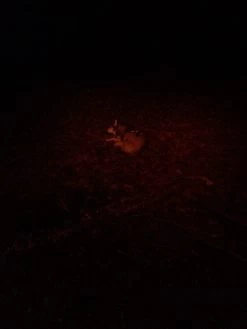 NiteRider Adventure 180 -Camping & Hiking Sale IMG 1079 1