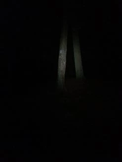 NiteRider Adventure 180 -Camping & Hiking Sale IMG 1092