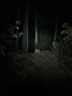 NiteRider Adventure 180 -Camping & Hiking Sale IMG 1098