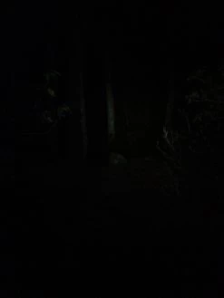 NiteRider Adventure 180 -Camping & Hiking Sale IMG 1099