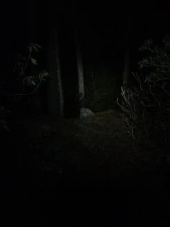 NiteRider Adventure 180 -Camping & Hiking Sale IMG 1100