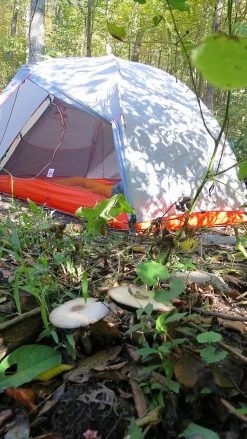 SlingFin CrossBow 2 Mesh -Camping & Hiking Sale IMG 5010