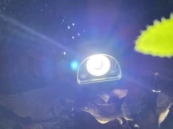 Coast FL1R -Camping & Hiking Sale IMG 5446 copy