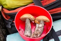 Primus PrimeTech Pot -Camping & Hiking Sale IMG 8316