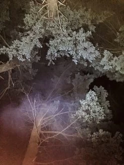 Ledlenser MT10 -Camping & Hiking Sale LEDlenser 6 of 6