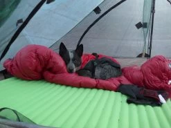 Zpacks Duplex Tent -Camping & Hiking Sale P1010508