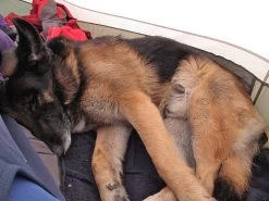 Big Agnes Copper Hotel HV UL2 -Camping & Hiking Sale Ralph rests