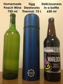 SIGG Steelworks Thermal .75 Liter Ring Bottle -Camping & Hiking Sale Sigg