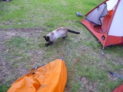 MSR Fury -Camping & Hiking Sale msrfury4